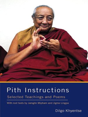 cover image of Pith Instructions